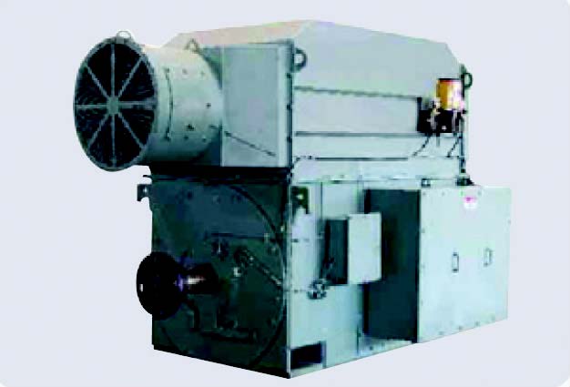 Generator (Synchronous & Induction Type)